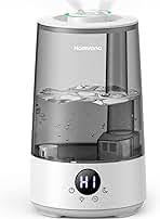 Humidificateur pour Cave à Vin